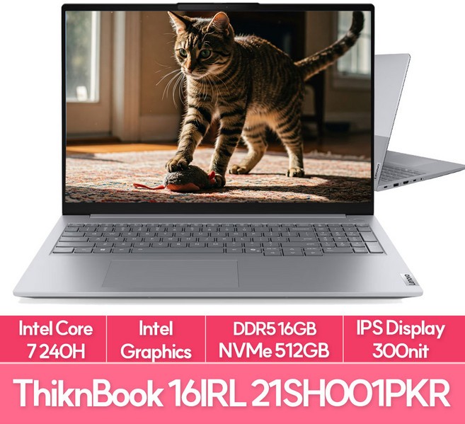 레노버 2025 씽크북 16IRL G8 코어7, Arctic Grey, 512GB, 16GB, Free DOS, 21SH001PKR