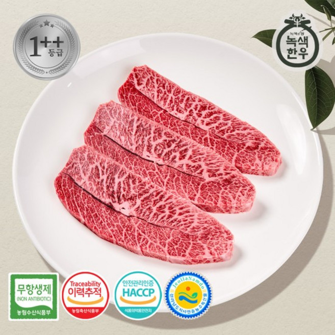 [녹색한우] 무항생제 1++등급 한우 부채살 300g, 없음