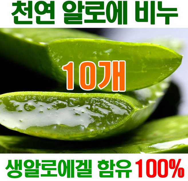 생 알로에 악건성 고 보습 세안 올인원 비누 민감성 수제 세수비누 건성비누 추천 yb맘, 100g, 10개입