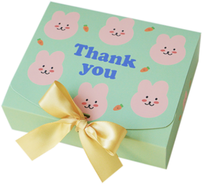 도나앤데코 직사각 선물 포장 상자 중 5p + 리본 5p, 래빗 그린., 10세트