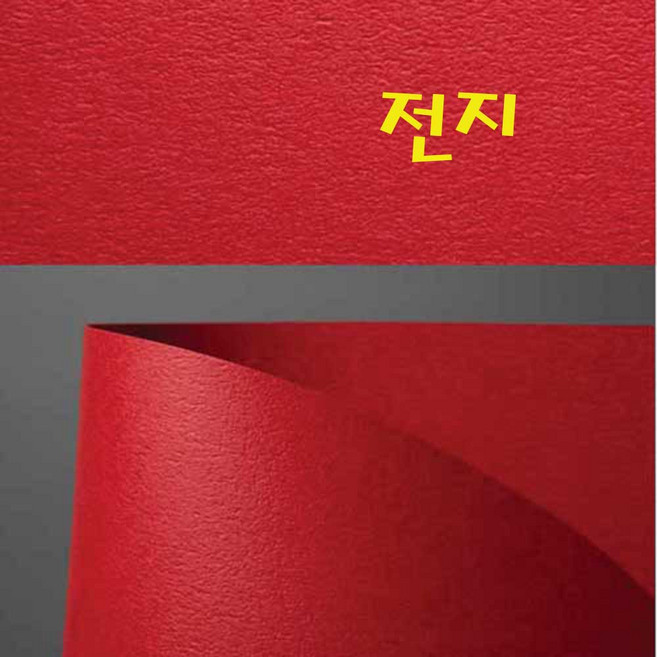 두성 116g 디자이너스지 전지 낱장판매, D53