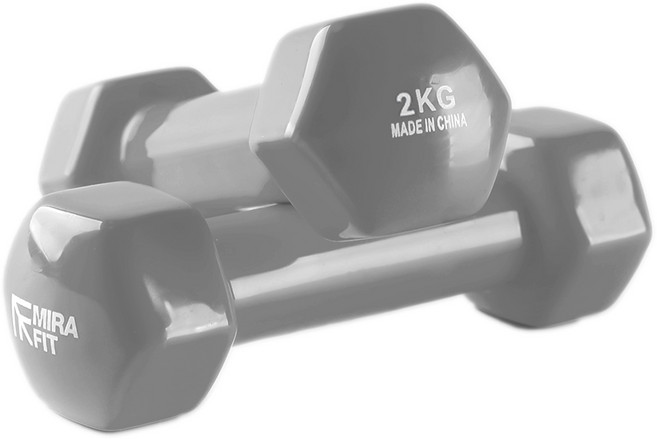 미라핏 6각유광 미용아령 요가 필라테스, 2개, 2kg