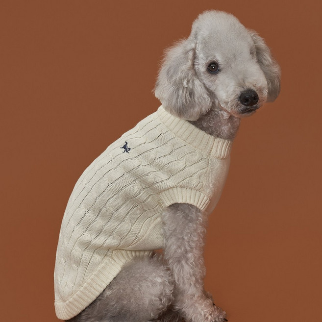 도그아이 강아지 애견 순면 니트, 아이보리, 1개