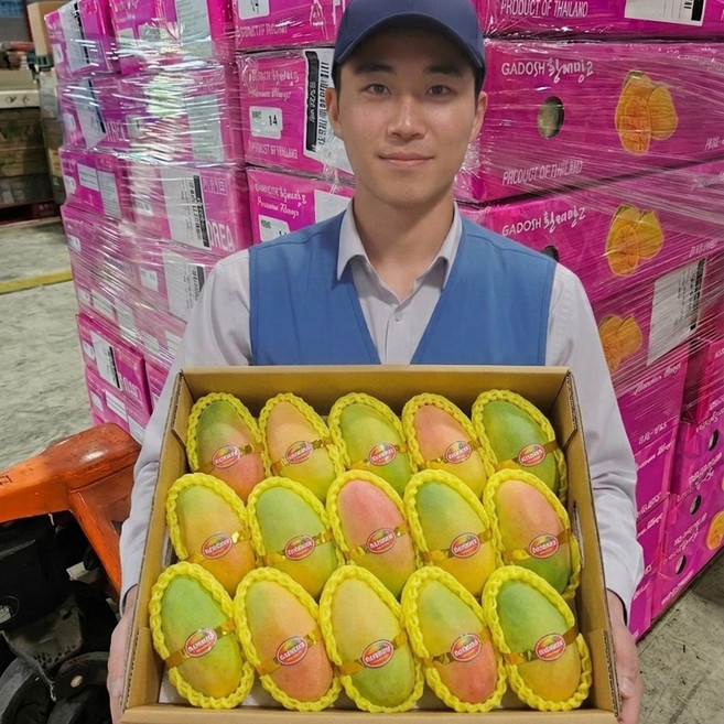 [상위1%새벽경매] 항공수입 초고당도 마하차녹 무지개망고, 1박스, 5kg (10-16과)