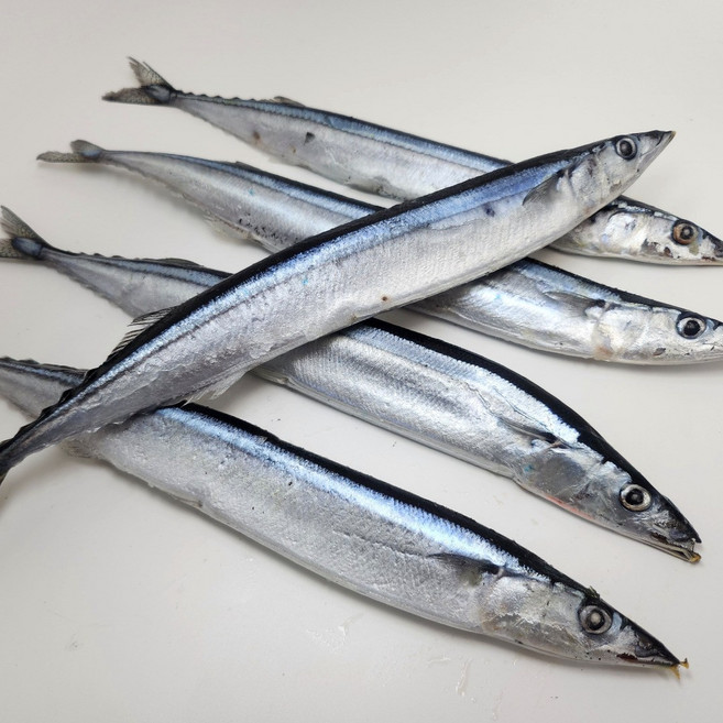 수산잇츠 냉동 꽁치 5미, 1개, 400g