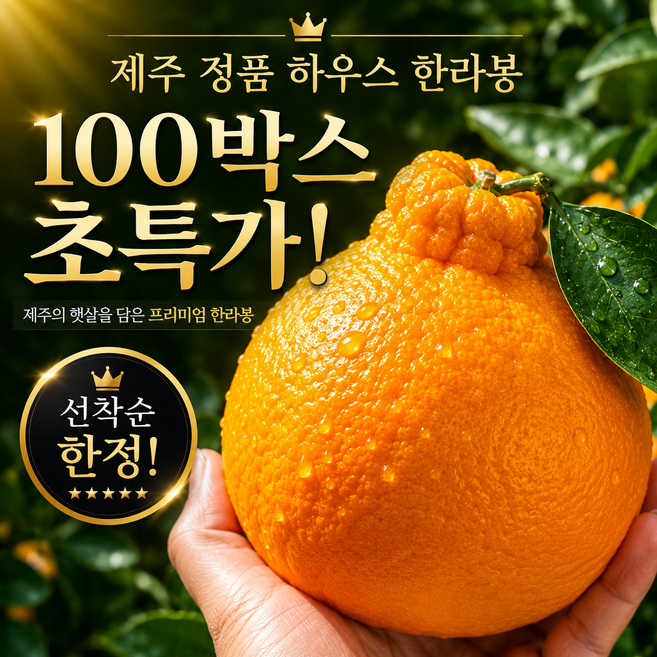 [50박스 초특가] 제주 한라봉 산지직송 고당도 제철 감귤, 1박스, 5kg