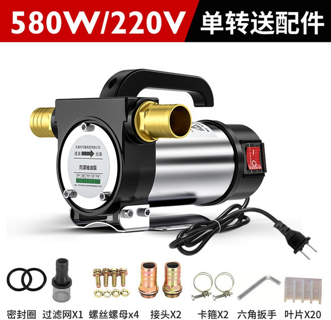 DC 12V/24V 오일 펌프 220V 디젤 등유 연료 오일 워터 양수기 자바라 이송 04 12V sin... 1개, 기본형 220V 단방향