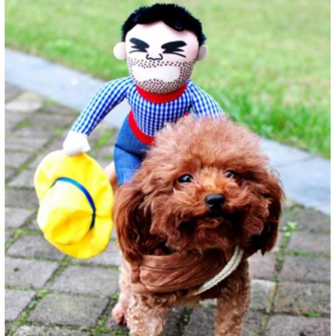 카우보이의상 할로윈 강아지 애견 재킷 코트 드레스, 라지 GD15171, 라지GD15171, 1개