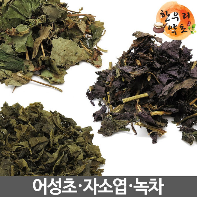 어성초잎 자소엽 녹차 국내산 발모팩 발모차 재료, 어성초 300g, 300g, 1개