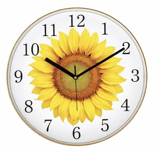 비욘드아트 해바라기 무소음 거실 30cm 벽시계, 흰색
