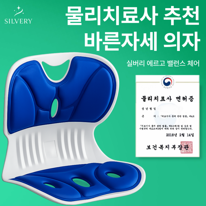 실버리 인체공학 바른자세 등받이 좌식의자, 블루