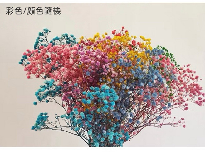 彩色乾燥花花束 滿天星 情人草 卡斯比亞 永生花 節日禮物 居家佈置, 100克/大把/滿天星(彩色)