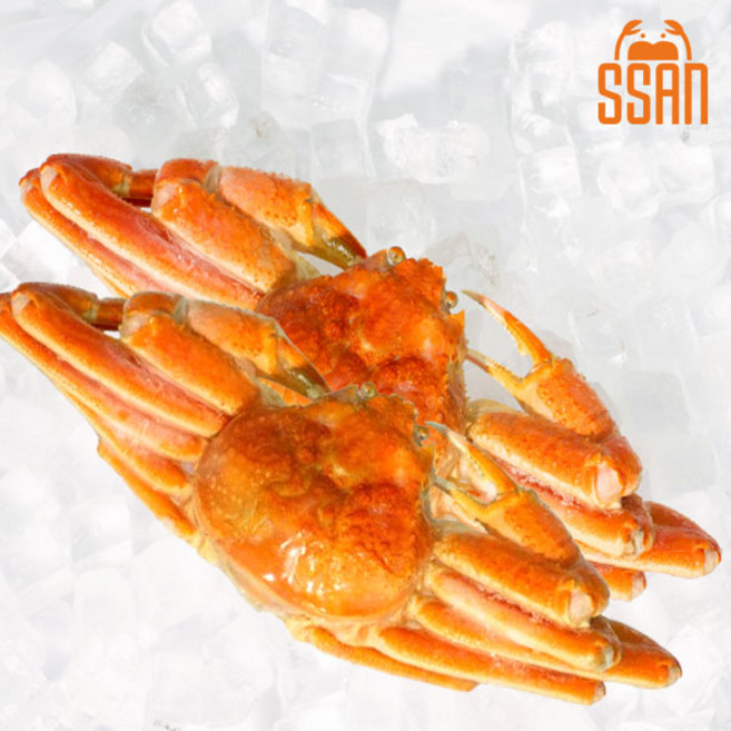 [싼크랩] 스노우크랩 러시아대게 박달자숙대게 살이 꽉찬 1마리1kg. 2마리 2kg, 1박스, 2kg(2마리)