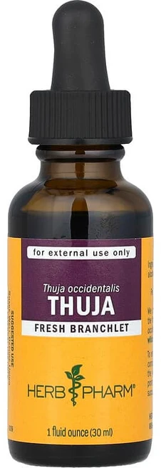 Herb Pharm Thuja 30ml(1fl oz) HBP-80034, Herb Pharm, Thuja, 1 fl oz 30, 30ml, 1개 - 쿠팡