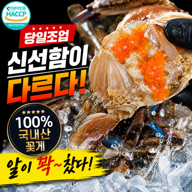{특급 }재구매 1위 가성비최고 알가득 국내산 서해안 연평도 생물 알배기 활 암꽃게 4kg, 1박스, 4kg(12-20미)