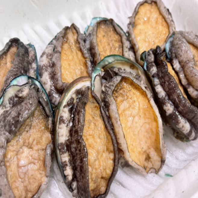 [더신선] 완도 싱싱한 손질 전복, 1개, 전복(소) 손질 200g