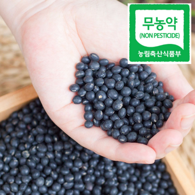 국산 쥐눈이콩 무농약 약콩 서목태 친환경, 쥐눈이콩(무농약) 500g, 1개