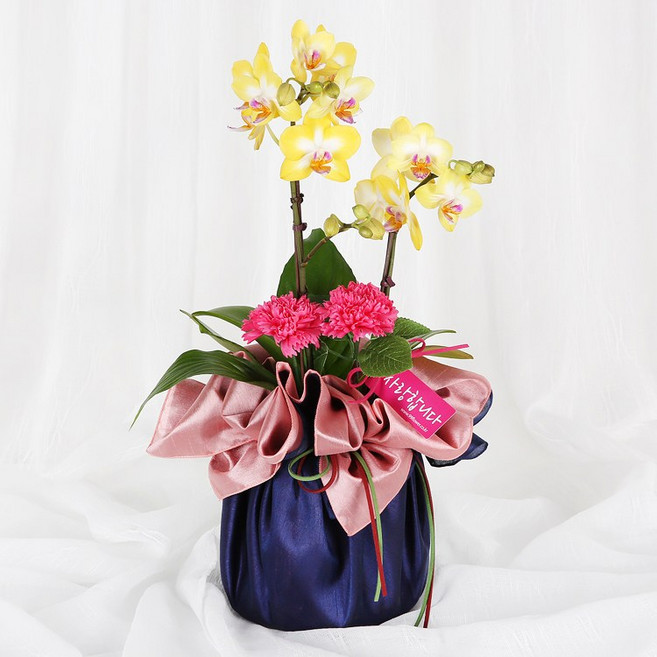 (오늘도착) 어버이날 서양란 카네이션 화분 (서울.경기일부) 부모님선물 보자기포장 어버이날선물 효도선물 오래가는꽃 당일꽃배달 [ST-H470], 1개