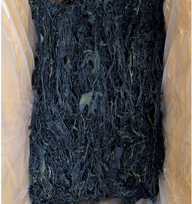 고흥 햇미역 가성비용 업소용, 1박스, 10kg