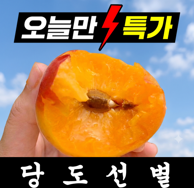 [24시간초특가] 딱100박스만 고당도 노지 살구, 1박스, 1kg