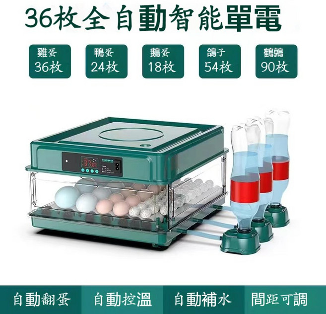 全自動智能孵蛋器 128枚容量 抽屜式孵化箱, 36枚單電【自動上水+自動翻蛋】, 1個