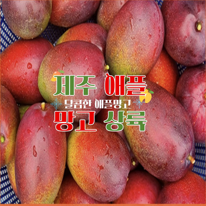 애플망고 1kg 2kg 3kg 제주미니 왕미니 제주애플망고 왕미니 20brix, 1박스, 제주 애플 망고 왕미니 500(2~5과)/가정용 포장