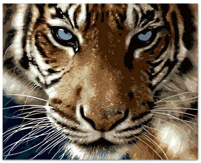 아디코 DIY 페인팅 호랑이 PEE43 50 x 40 cm, 단품, 1개