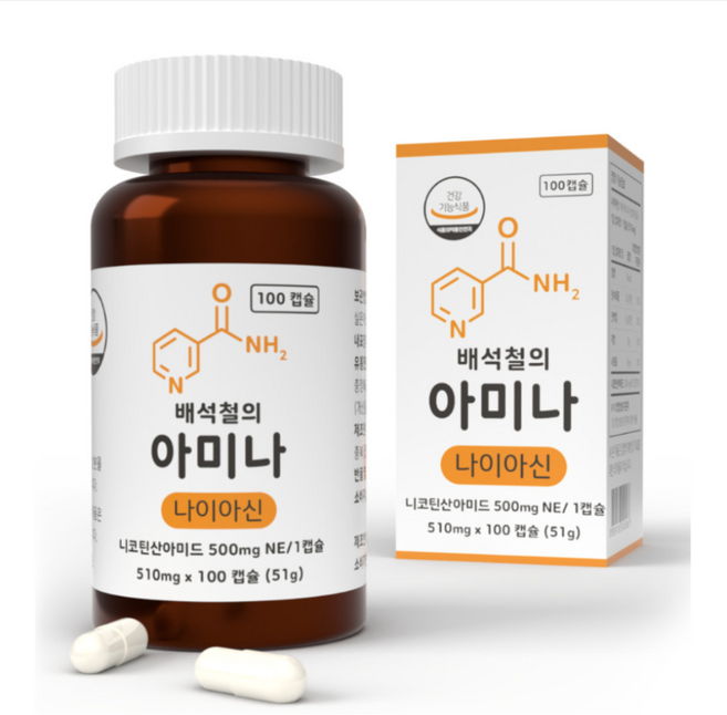 배석철의 아미나 고용량 비타민B3 미국산 나이아신아마이드 500mg, 1개, 100정