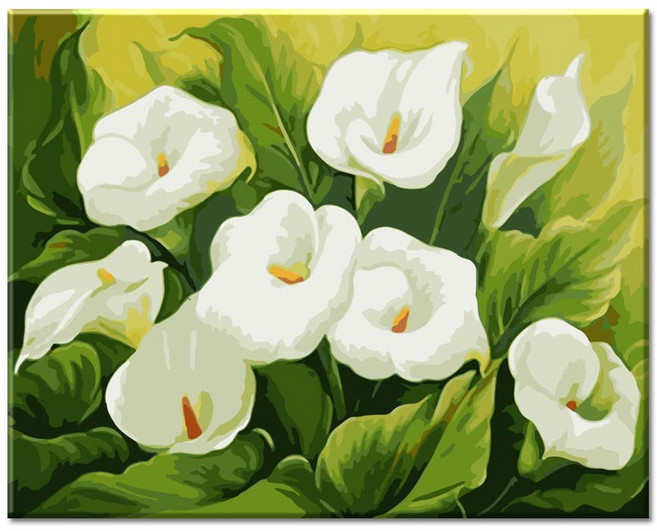 모모픽스페인팅 DIY명화그리기 40x50cm, 청초한 카라꽃, 1개