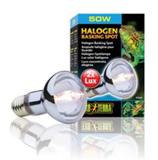 엑소테라 할로겐 스팟램프50w 75w, 1개, 50w