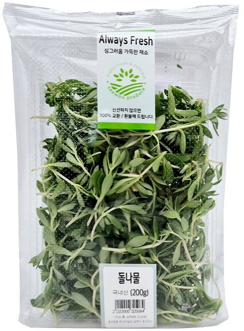 국내산 돌나물, 200g, 1개