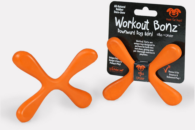 펫토리아 르칙 강아지 훈련 부메랑 장난감, 레드, 1개