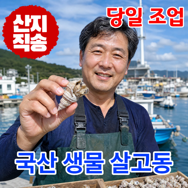 어부의뜰 국산 자연산 포항 생물 살고동 바다 고동 고추골뱅이 살고둥 고둥, 1개, 1kg 중소