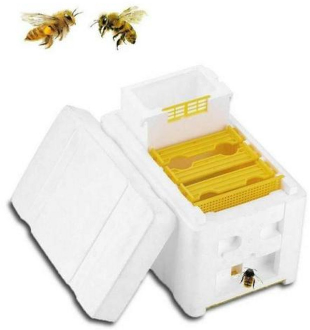 양봉용품 여왕벌사육 상자 양봉자재 도구 벌집 수분 케이스 장비, 02 B, 1개