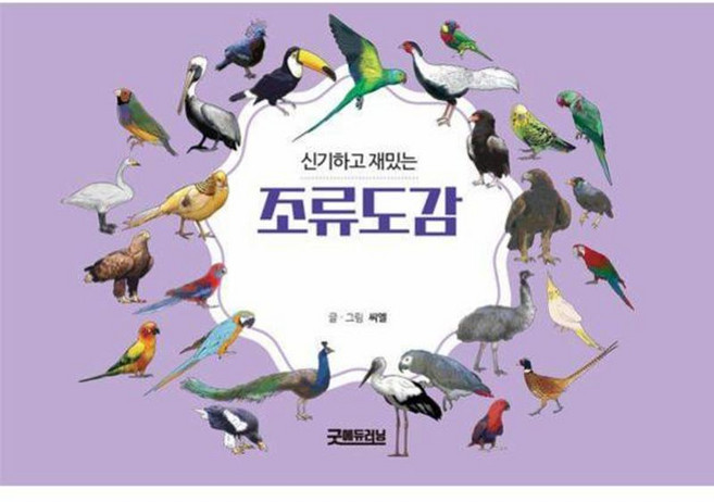 신기하고 재밌는 조류도감, 굿에듀러닝, 씨엘