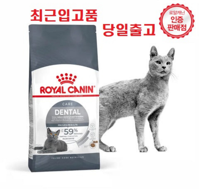 1.5kg 당일발송(최근입고분) 로얄캐닌 캣 덴탈케어 1.5kg 고양이사료 증정품)닭가슴살1개, 1개, 구강/치석관리+장건강