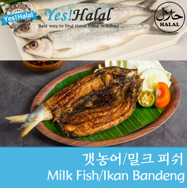 Yes!Global Milkfish Ikan Bandeng 밀크피쉬 갯농어 (3Fishes 1000g), 1개, 1000g