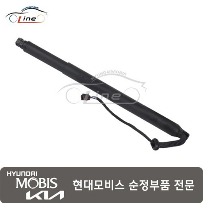 소렌토 테일 게이트 리프터/좌측 자동 81770 C5100