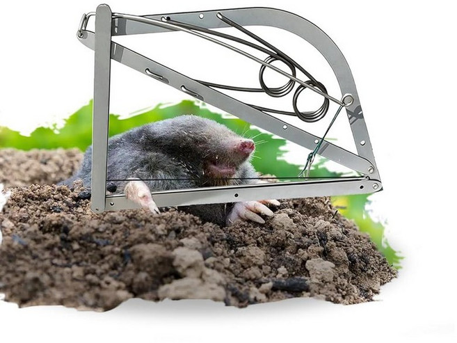 Reusable Outdoor Chipmunk Spring Trap - for Meadow Woods Orchard Gardens & All Outdoor Spaces 1
