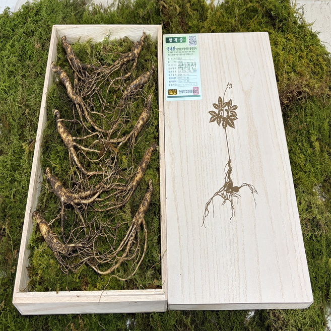 산지픽업24 강원도 산양삼 산양산삼 장뇌삼, 1개, 7-8년근 선물용(특품) 10뿌리