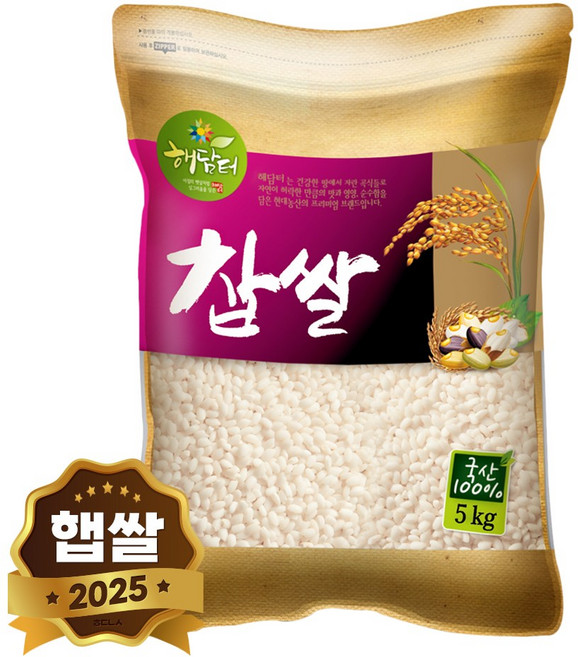 현대농산 국산 찹쌀 5kg, 1개