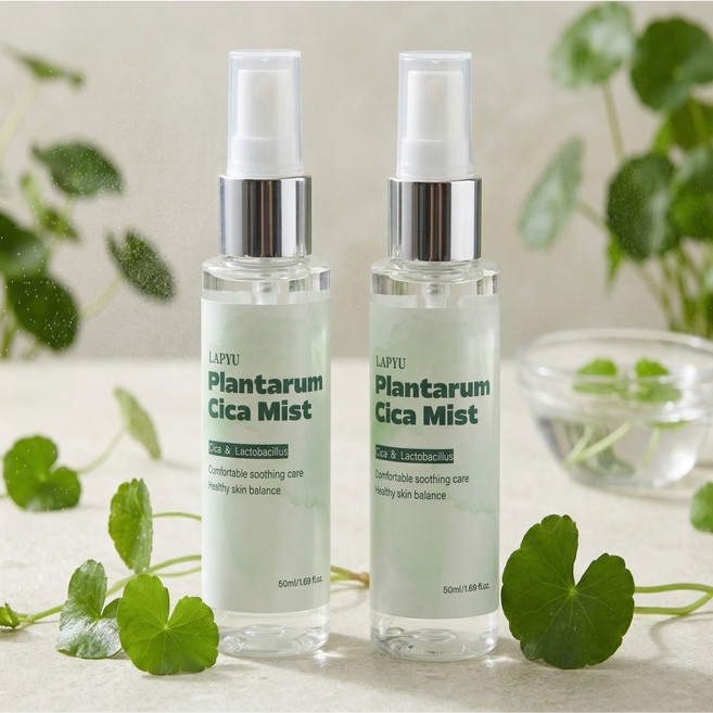 라퓨 얼굴 수분 미니 병풀 미스트, 2개, 50ml