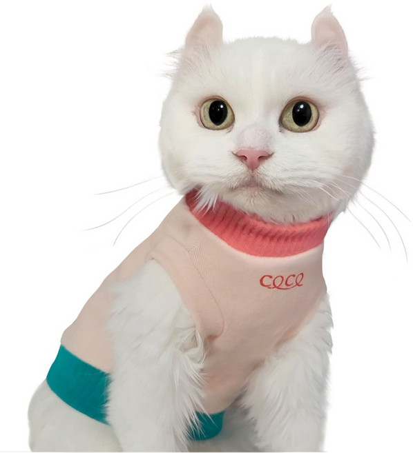 코코테일 아기고양이옷 고양이옷 뚱냥이 고양이 티셔츠, 핑크 고양이, 1개