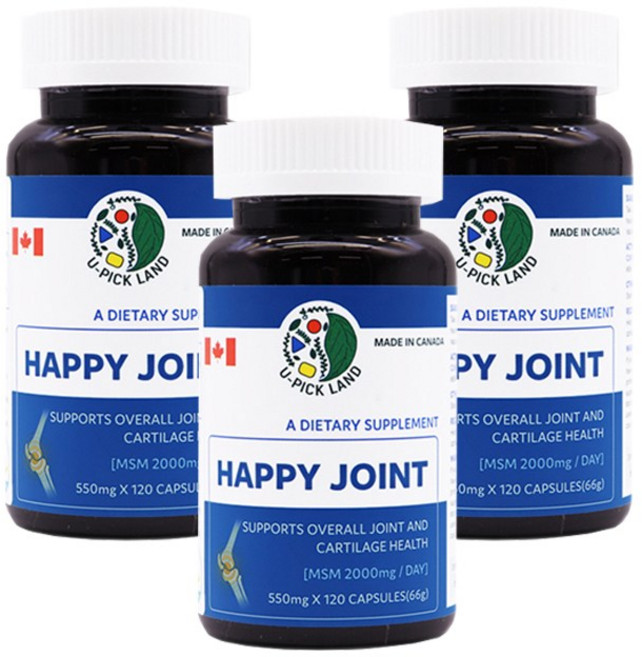 해피조인트 MSM 550mg 함유 상어 연골 글루코사민 캐나다 식약처기능성인정, 3개, 120회분