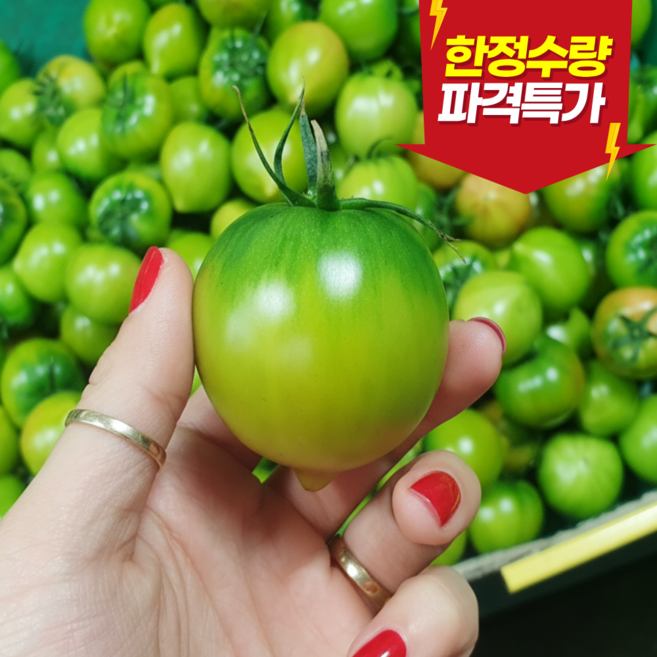 [프리미엄] 부산 대저 토마토 짭짤이 로얄과 중과 특품 우수농가 산지직송, 1개, 중과(M)2.5kg