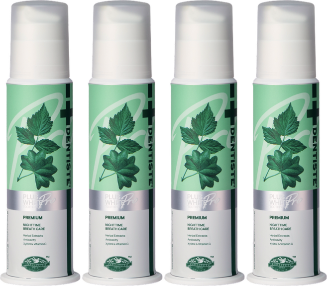 덴티스테 플러스화이트 프로 펌프형 치약, 170g, 4개