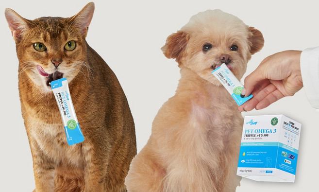 웰찹 식물성 강아지 고양이 펫 Omega 3 트리플 알티지 500 어취제로 알러지프리 30ea, 1개, 오메가3, 30회분