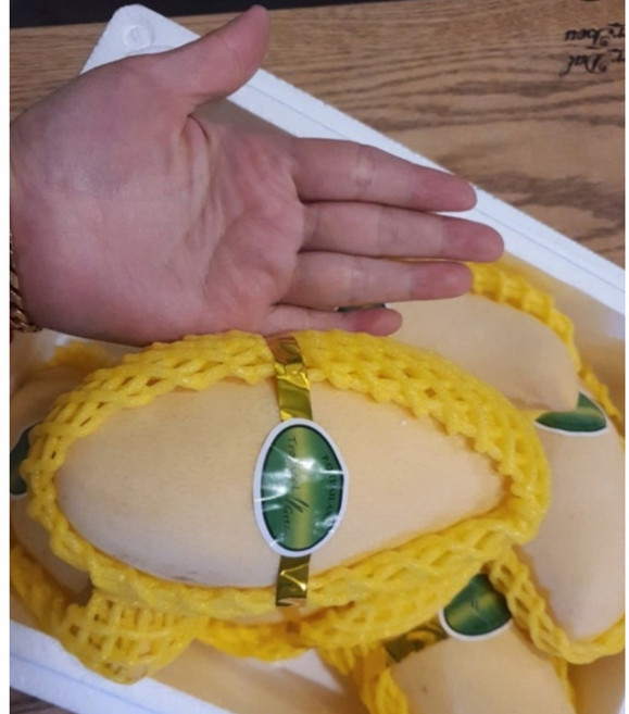 [최고급특대직수입단독특가] 고당도보장 태국 프리미엄 골드망고 남독마이 항공직송 1박스, 특대2kg내외(4-5수)