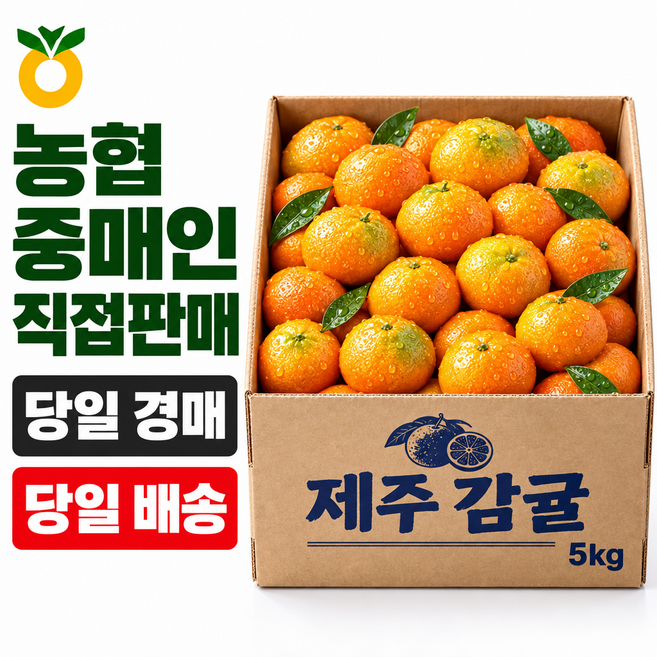 [작년구매1위]고당도 제주 귤 15브릭스 이상, 1박스, 5kg