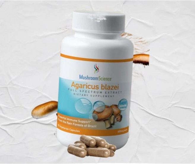 버섯과학 아가리쿠스 블라제이 버섯 풀 스펙트럼 추출물 성인 자연 건강 방어 지원 뜨거운 물로 추출한 주의자, 버섯과학 아가리쿠스 블라제이 버섯 캡슐 풀 스펙트럼 추, 1개, 90정